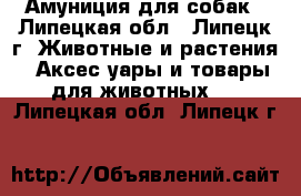 Амуниция для собак - Липецкая обл., Липецк г. Животные и растения » Аксесcуары и товары для животных   . Липецкая обл.,Липецк г.